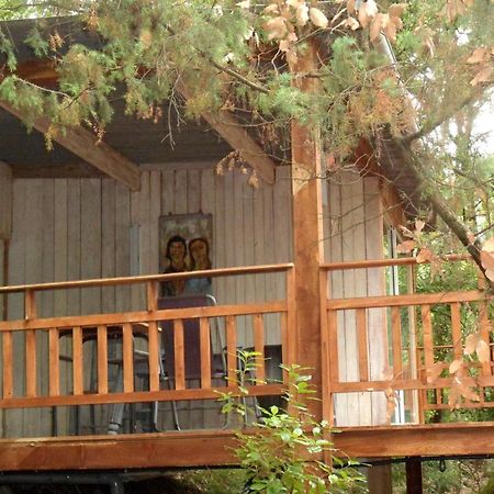Chalet Dans Residence Privee La Gaude Exterior photo